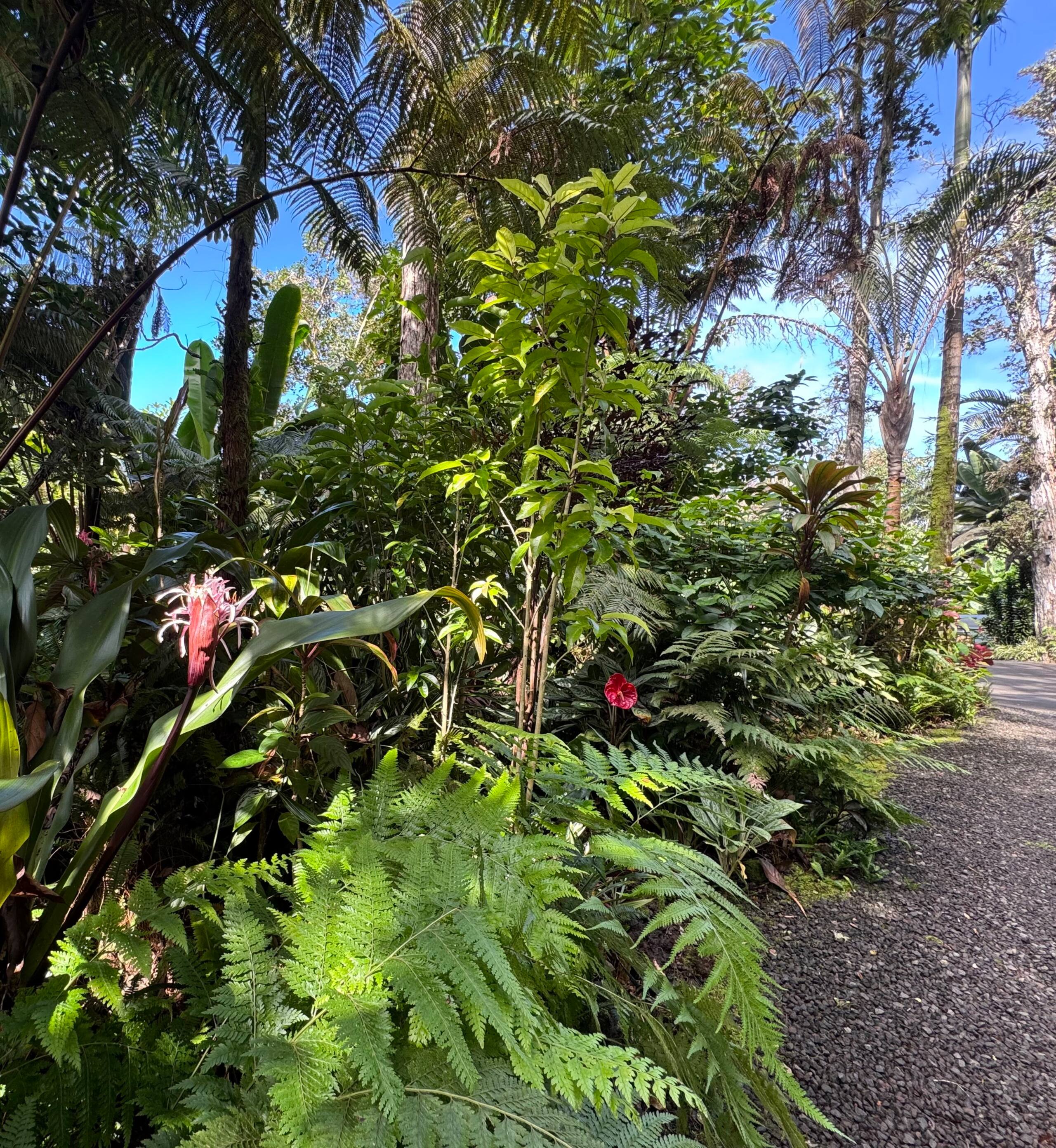 Romantic Private Forest Guest House TA065882726401 - Image 94