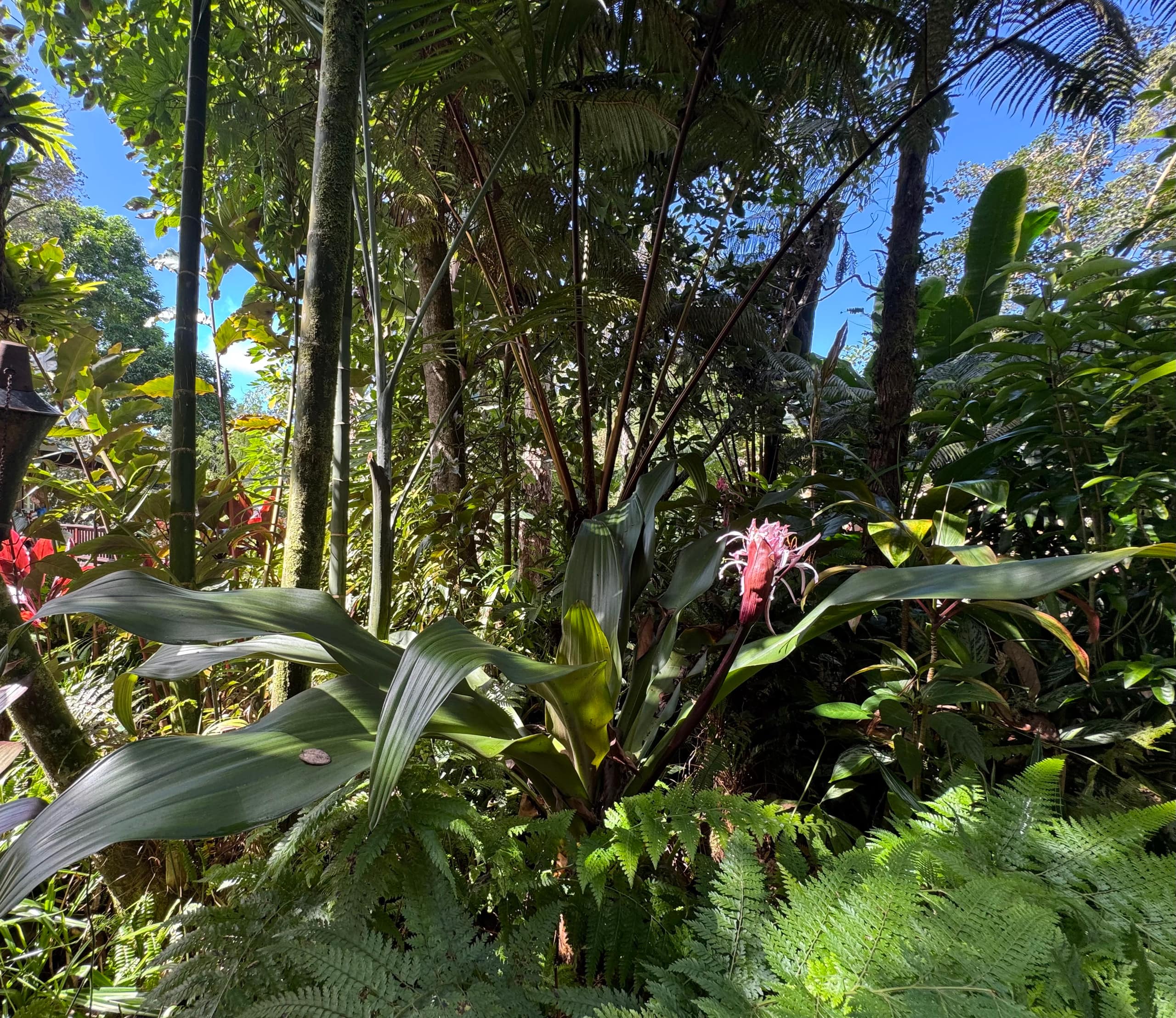 Romantic Private Forest Guest House TA065882726401 - Image 65