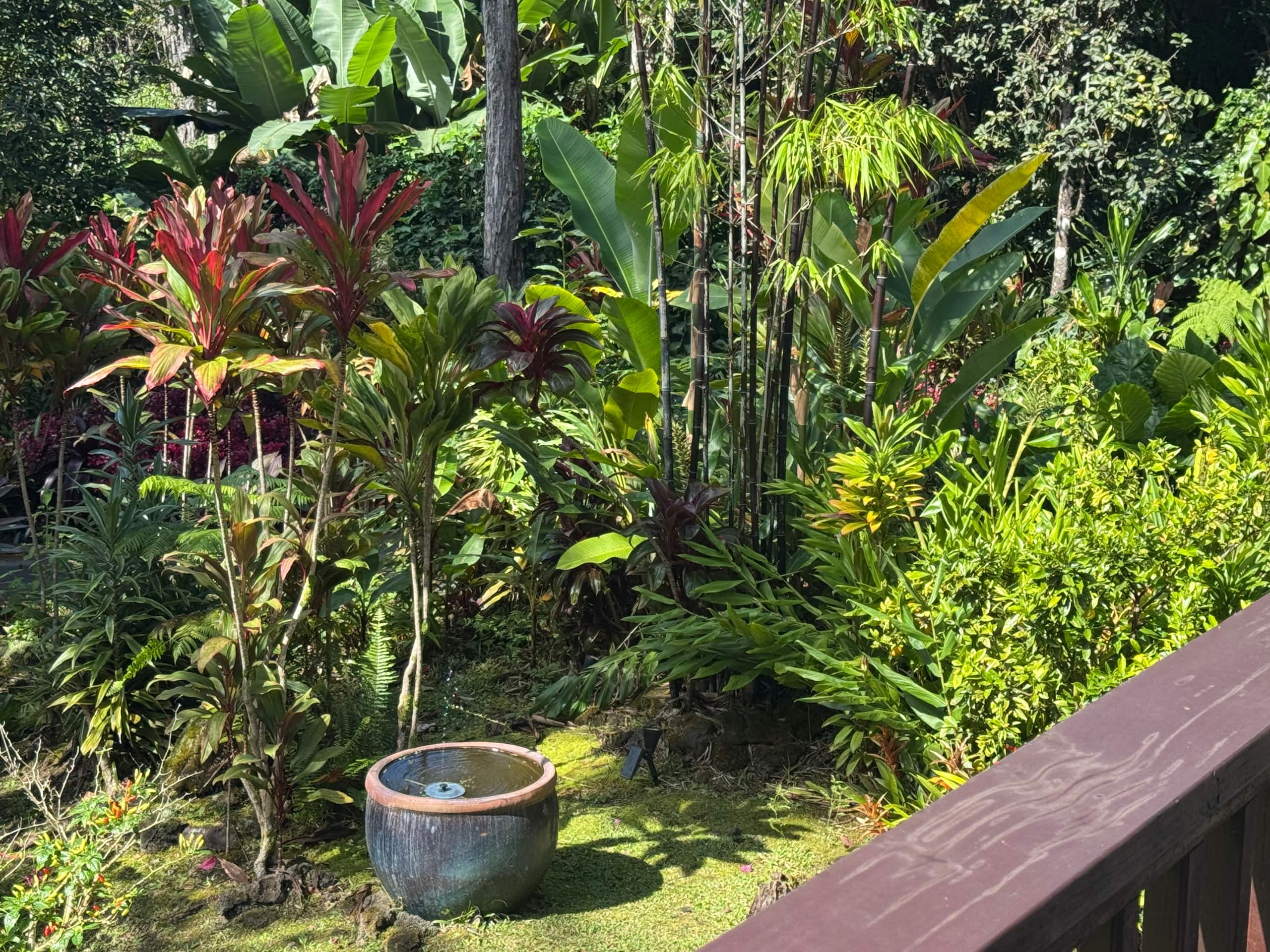Romantic Private Forest Guest House TA065882726401 - Image 41