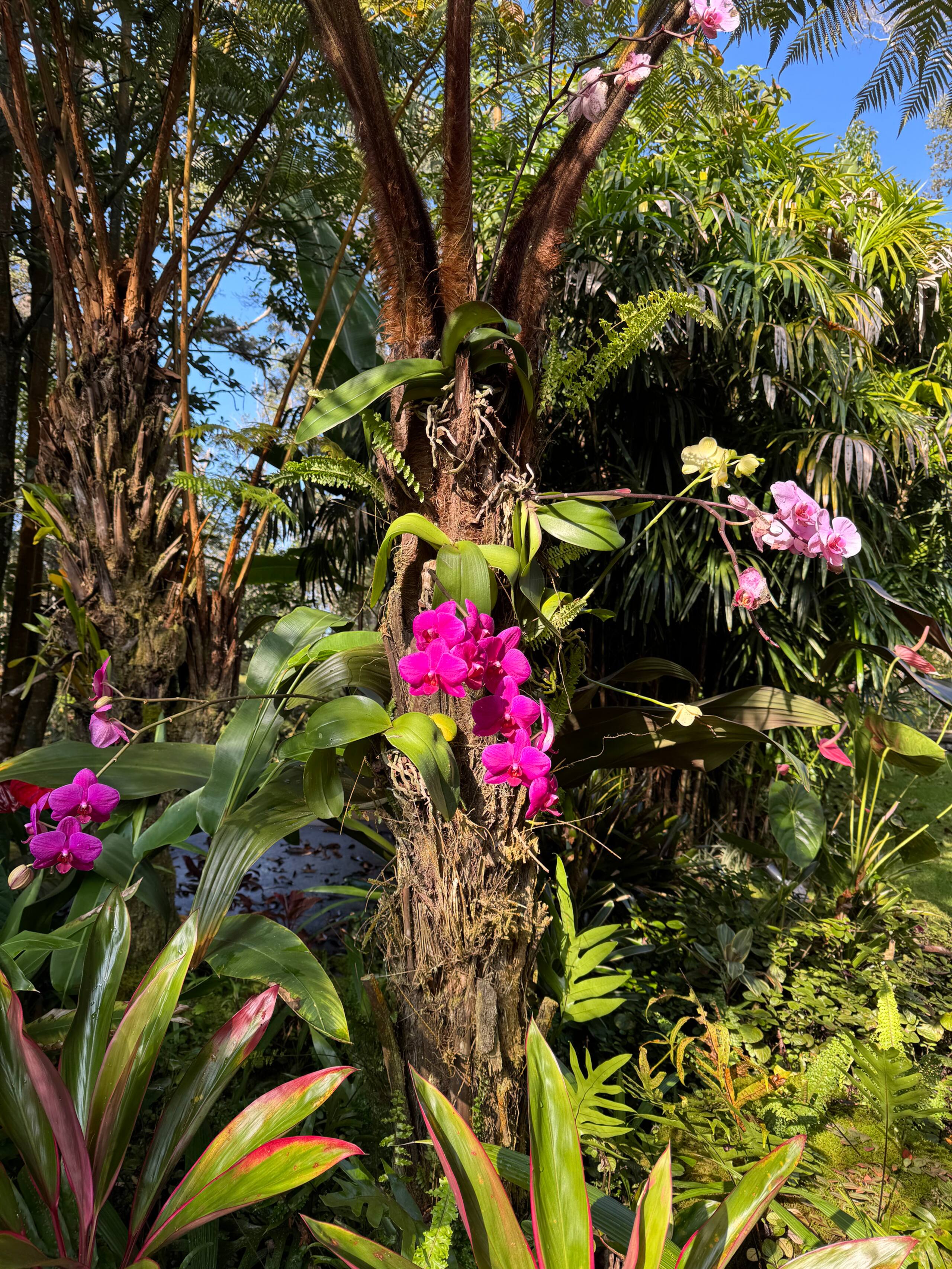 Romantic Private Forest Guest House TA065882726401 - Image 101