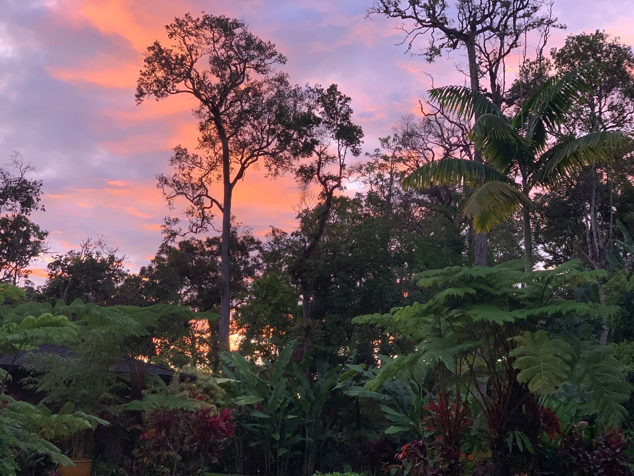 Romantic Private Forest Guest House TA065882726401 - Image 115