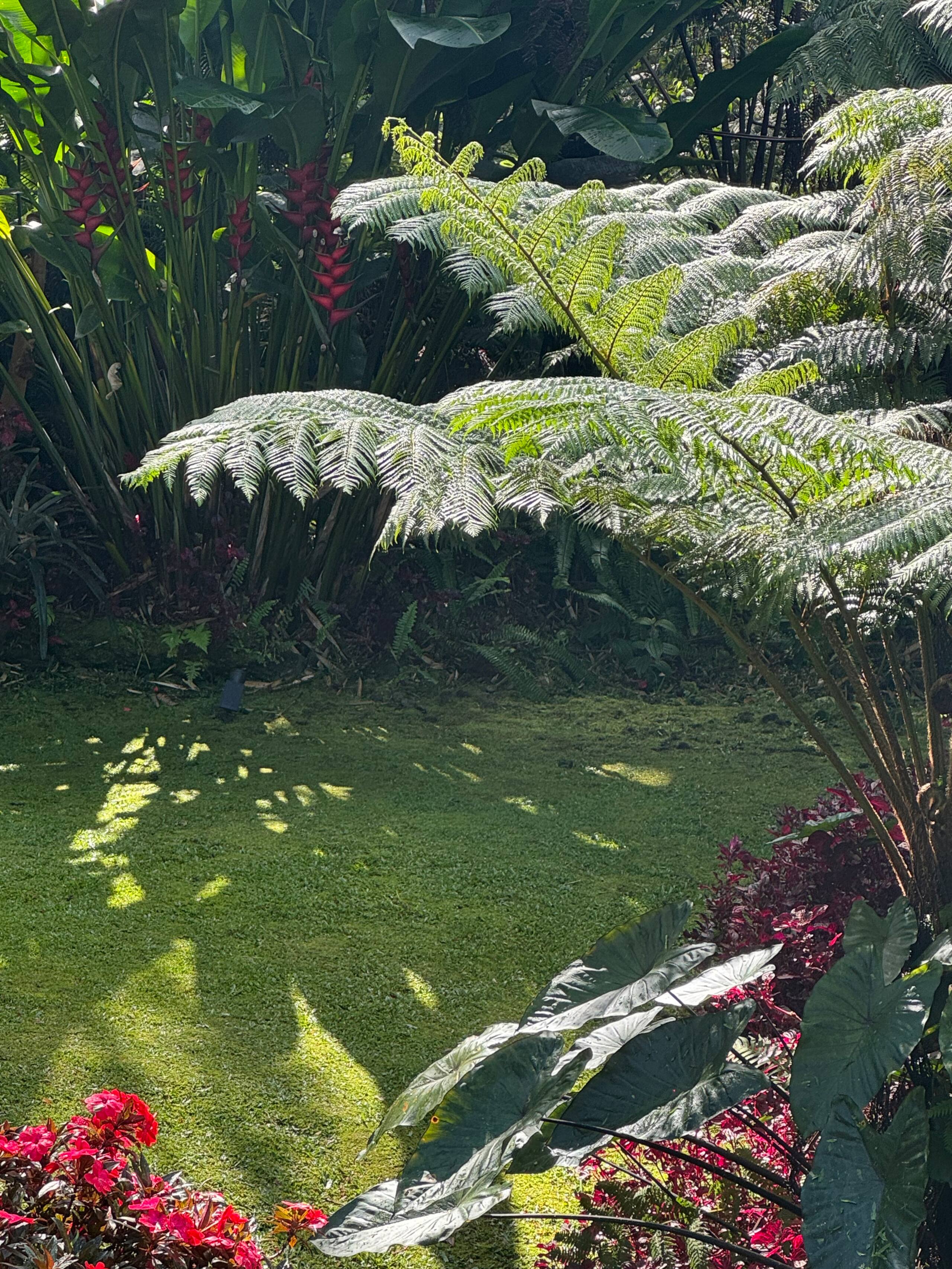 Romantic Private Forest Guest House TA065882726401 - Image 35
