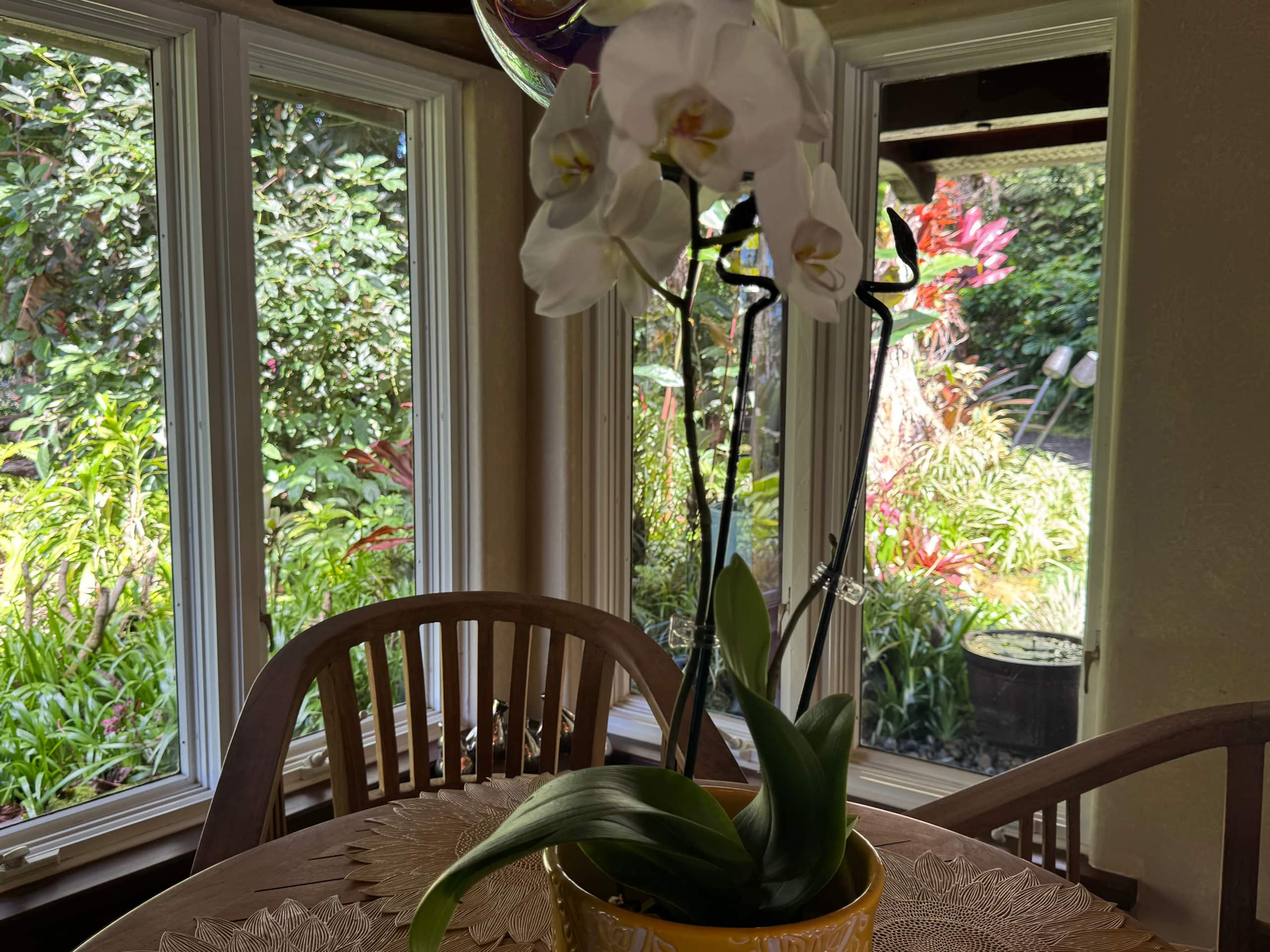 Romantic Private Forest Guest House TA065882726401 - Image 21