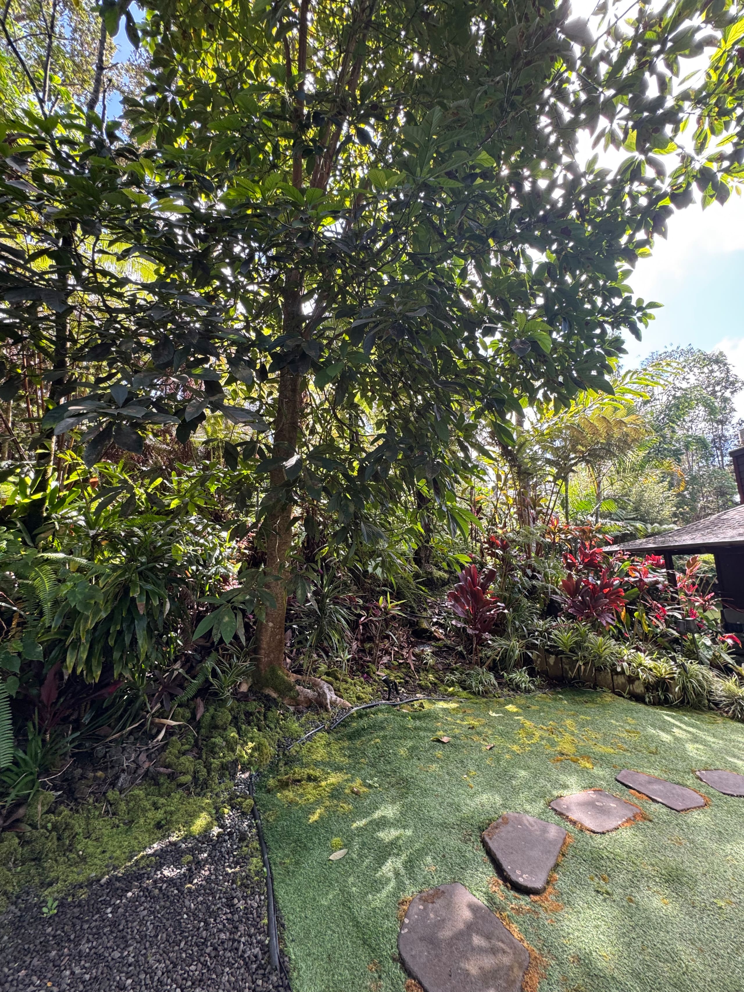 Romantic Private Forest Guest House TA065882726401 - Image 34