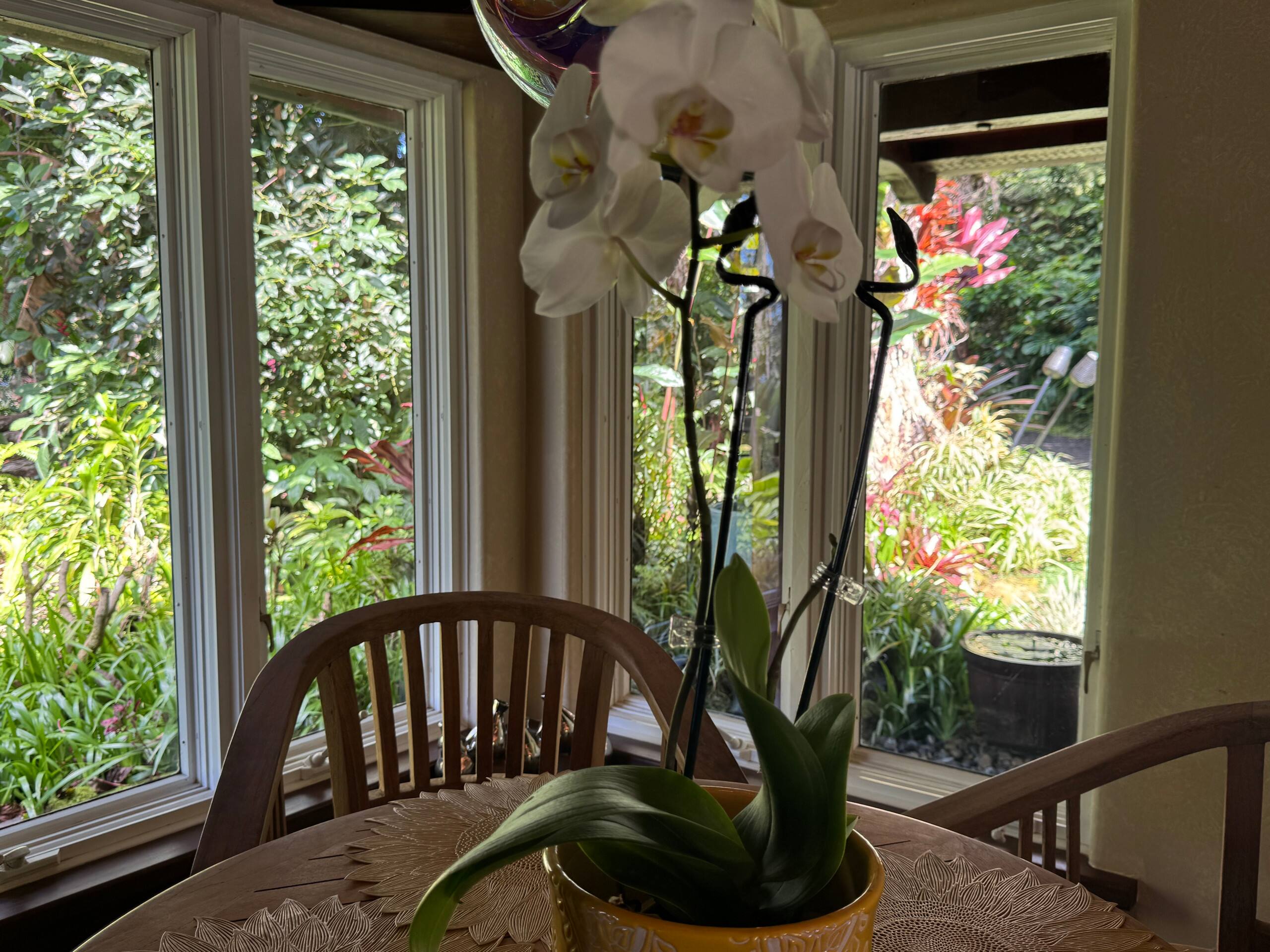 Romantic Private Forest Guest House TA065882726401 - Image 61