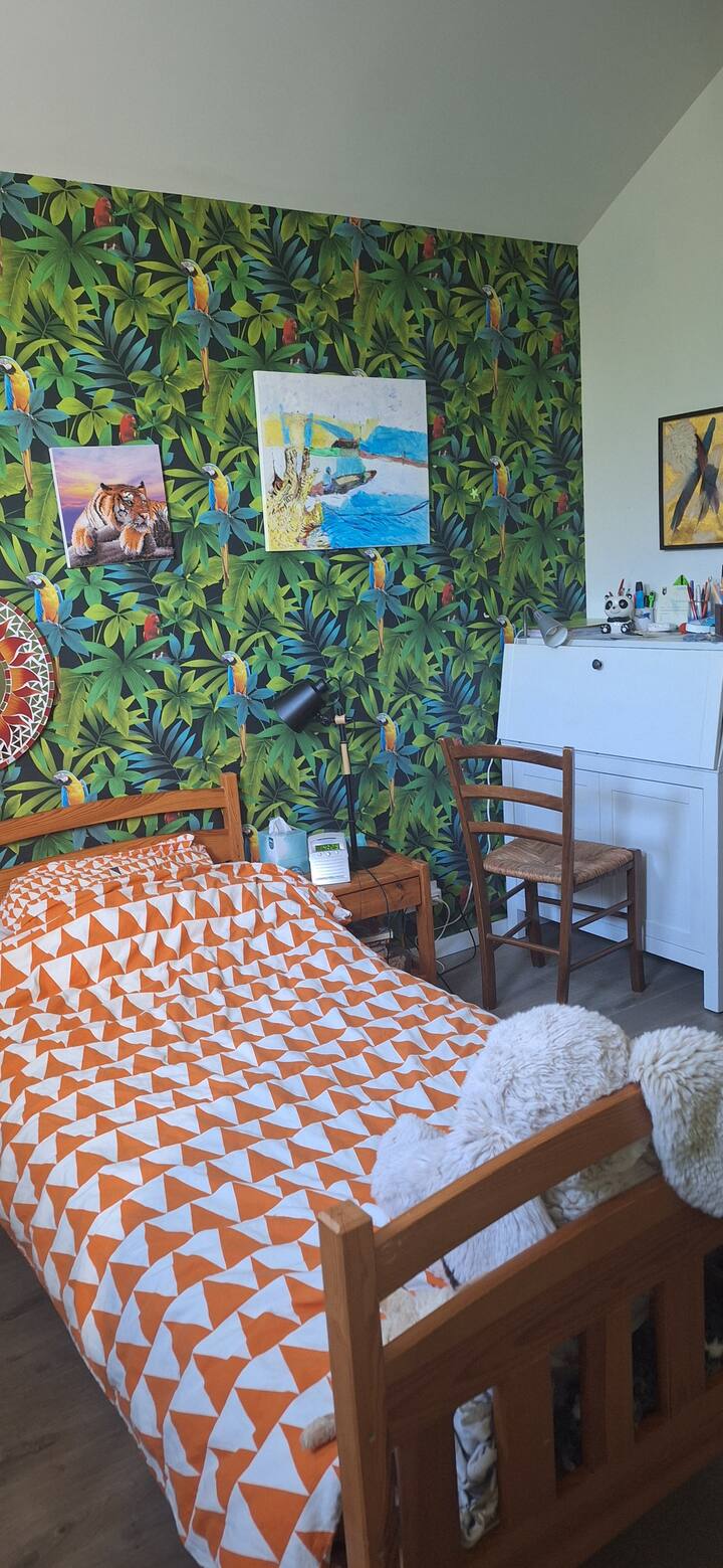 Habitación 1
