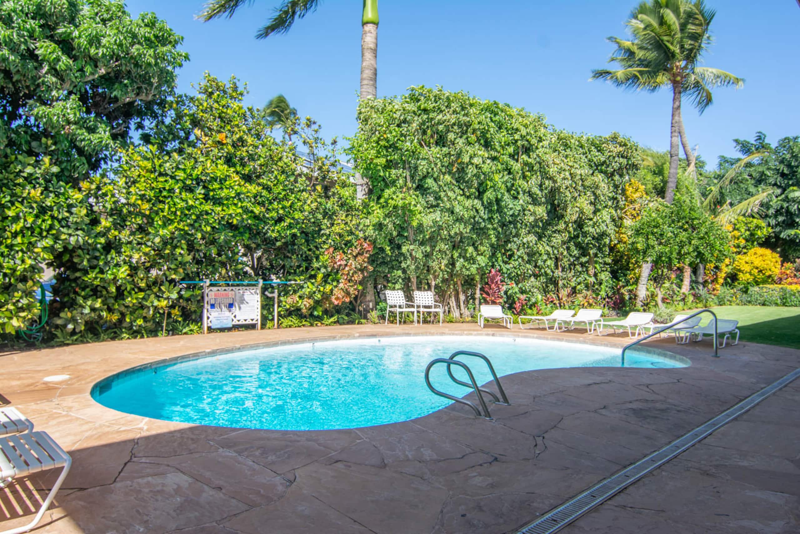 Garden Pool View Studio - 121 - Photo 4