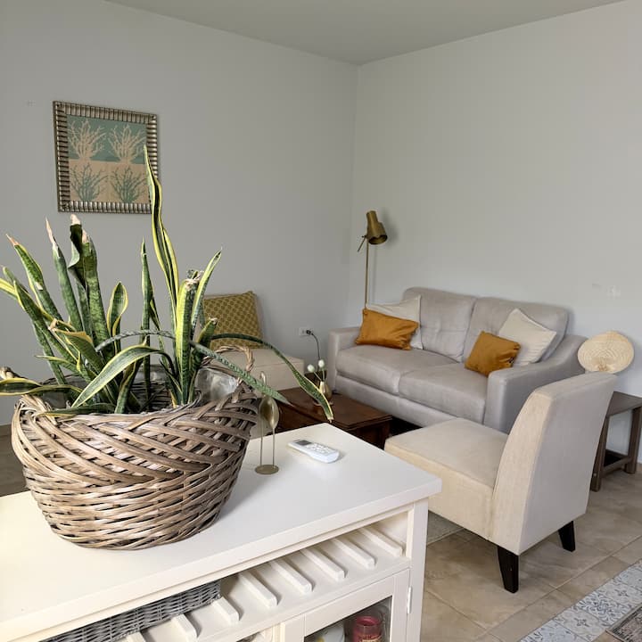 Cozy One Bed Room Apartment - Aruba