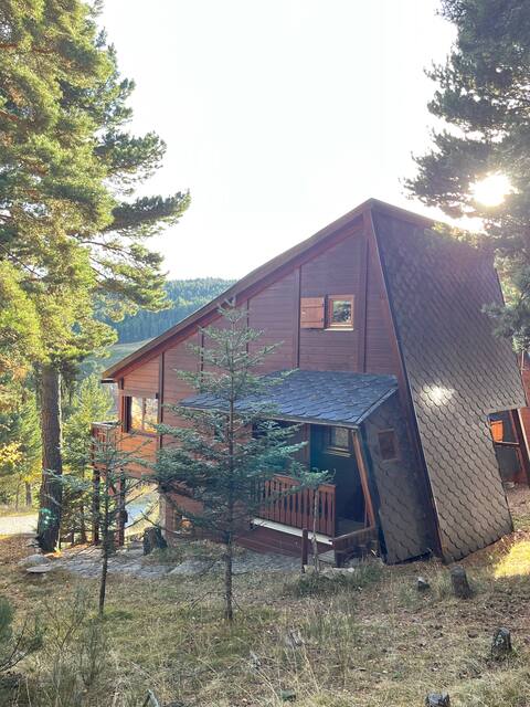 Chalet in the forest