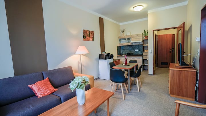 Constantia Wellness Apartman - Zalakaros