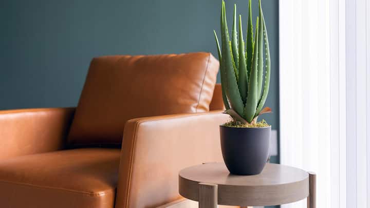 Landing | Modern 1bd, Yoga Studio - Jacksonville, FL