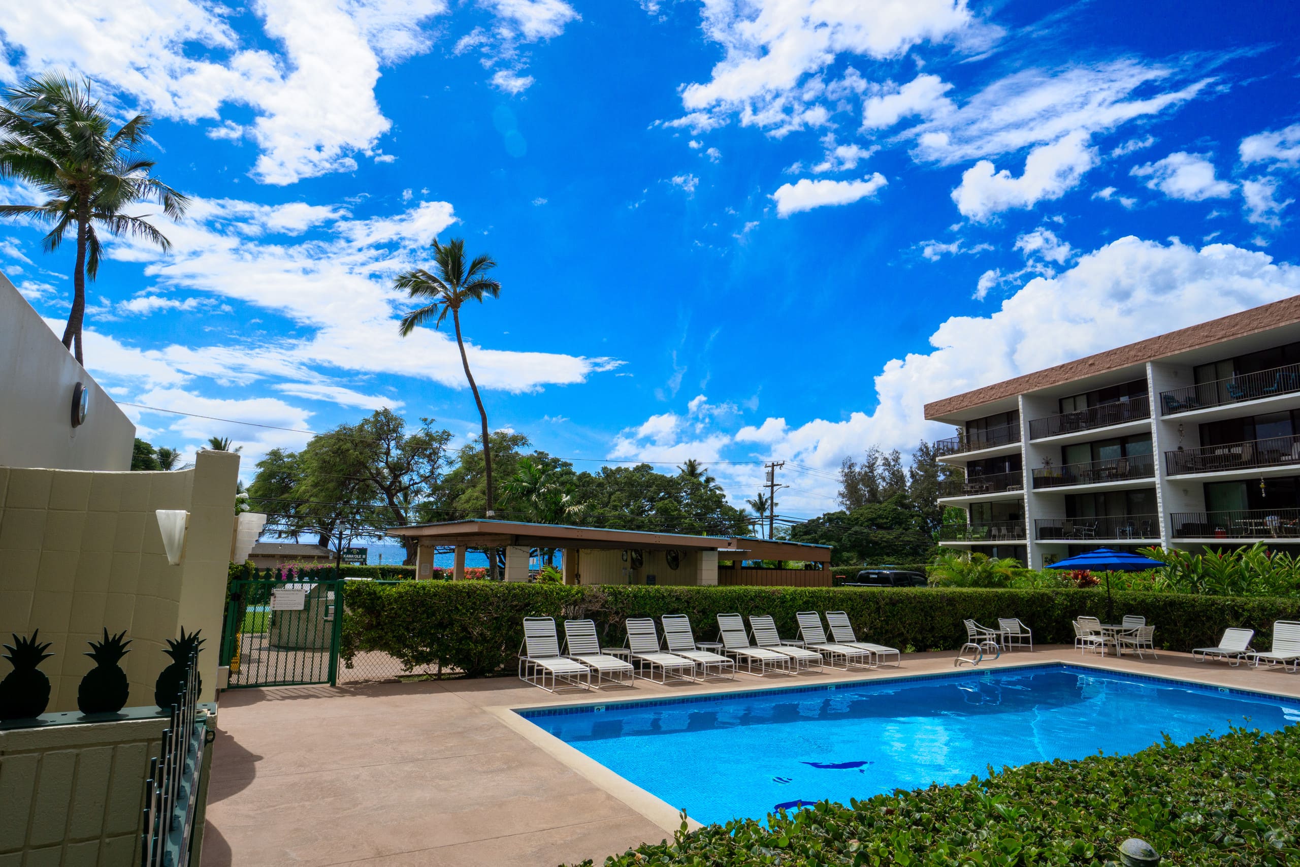 OCEAN FRONT modern 2BR 2BA, king bed, beach, pool! - Image 21