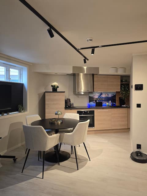 28 sqm studio apartment, right in the heart of Leirvik.