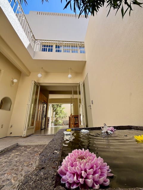 Hidalgo House with Style and Excellent Location