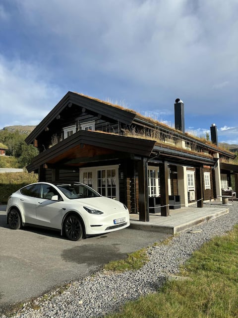 Fjellsætra - spacious 4 bedroom cabin