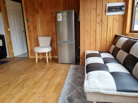 Successful Airbnb property: Cabin steps away from the lake in Puerto Octay