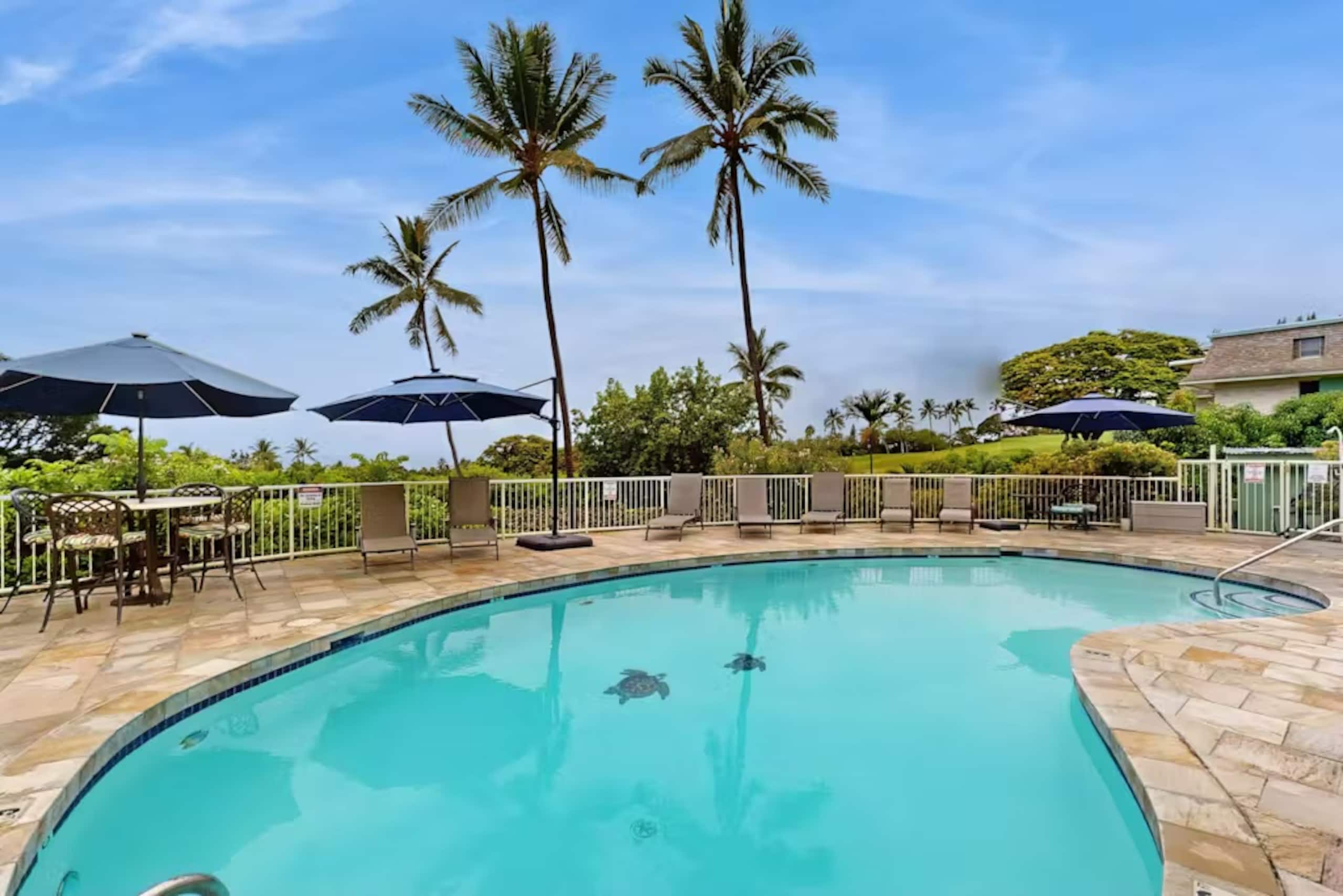 Condo in Kailua-Kona · ★5.0 · 1 bedroom · 2 beds · 2 baths - Image 21