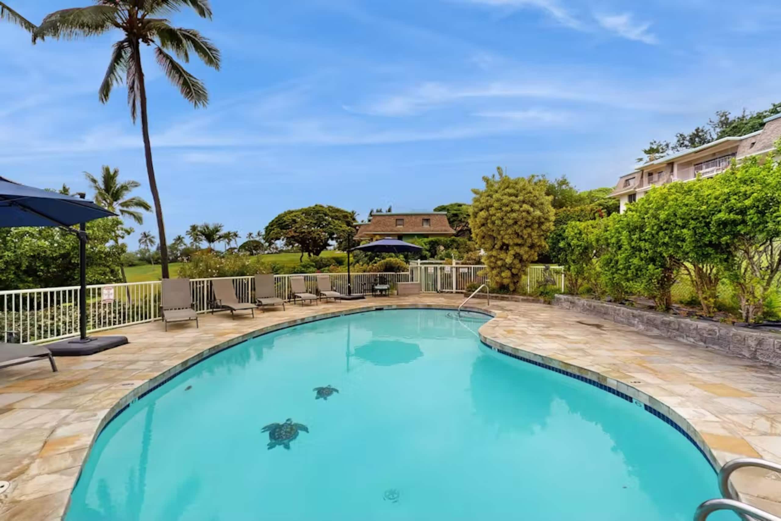 Condo in Kailua-Kona · ★5.0 · 1 bedroom · 2 beds · 2 baths - Image 22