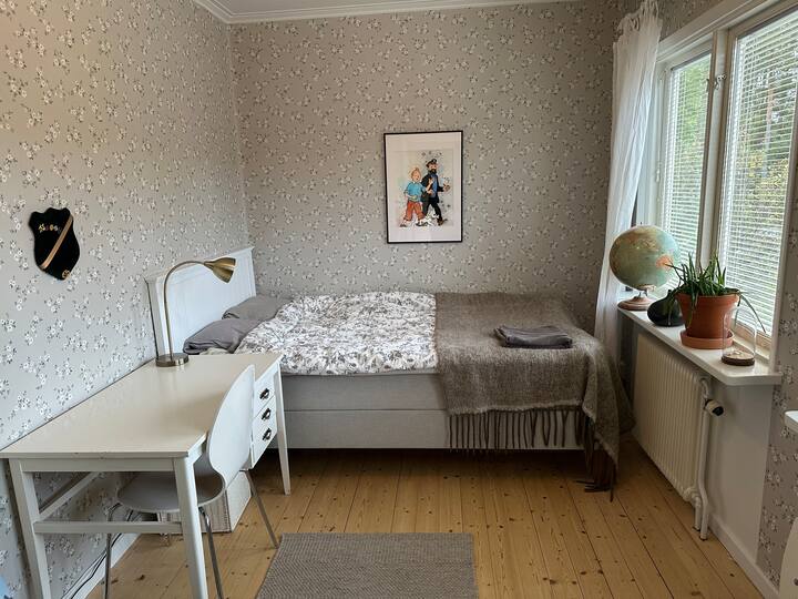 טמפרסנג 120 ס"מ