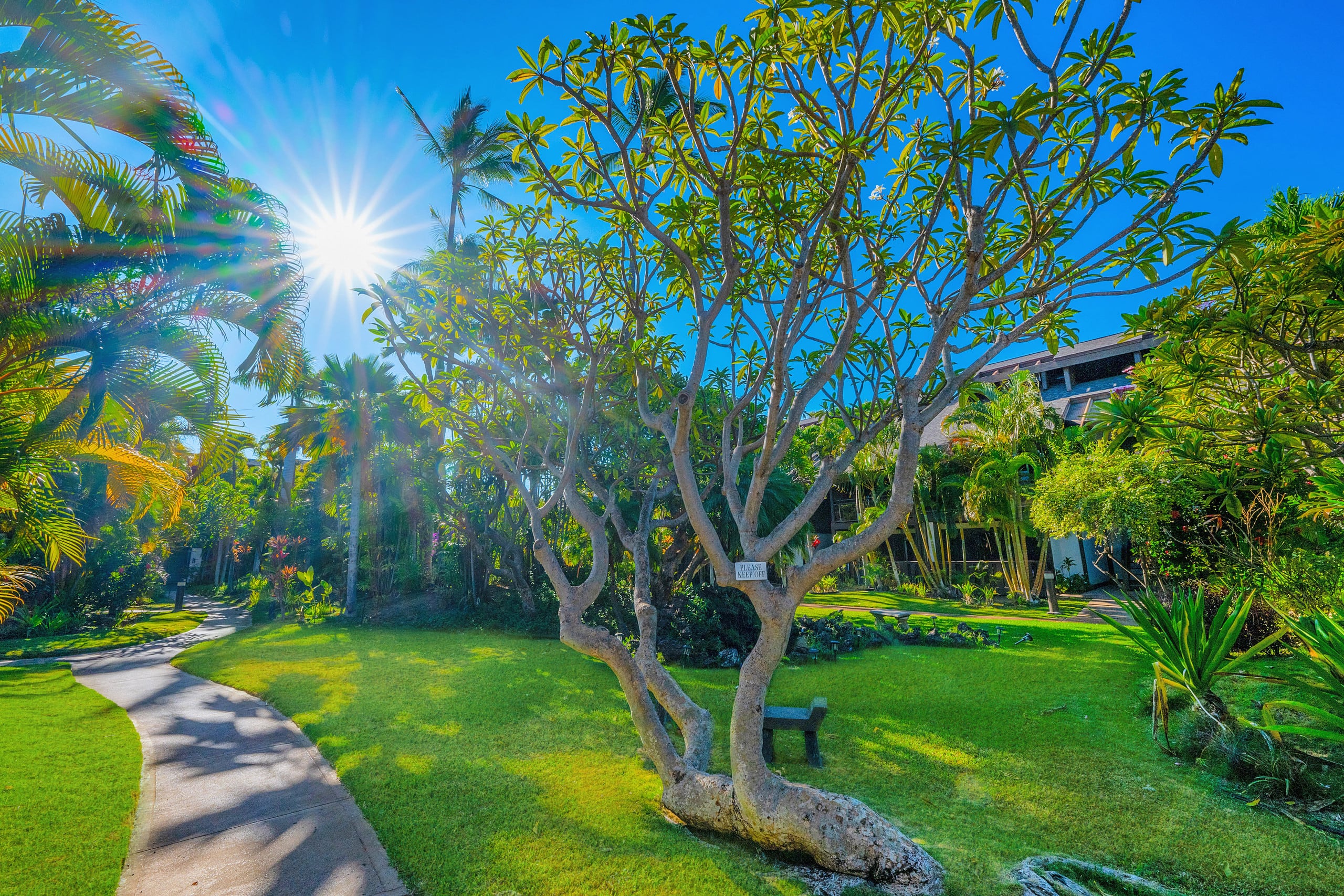 Tropical Zen Escape Modern 1BR Steps from Beach - Image 55