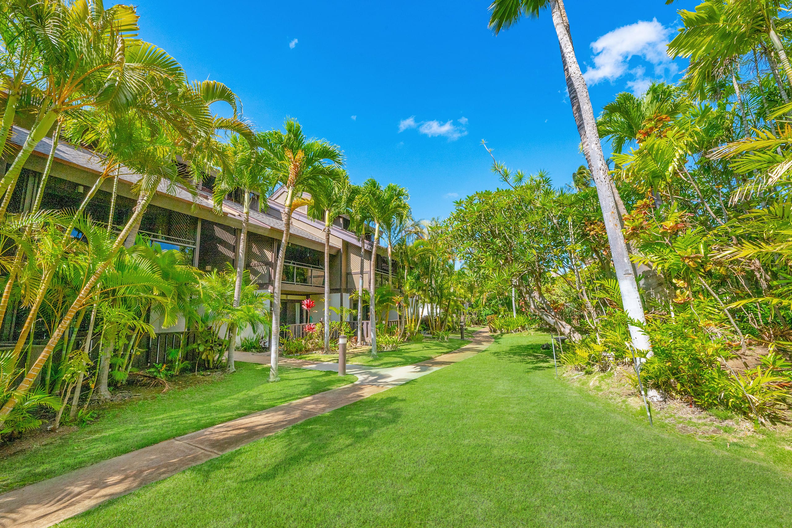 Tropical Zen Escape Modern 1BR Steps from Beach - Image 30
