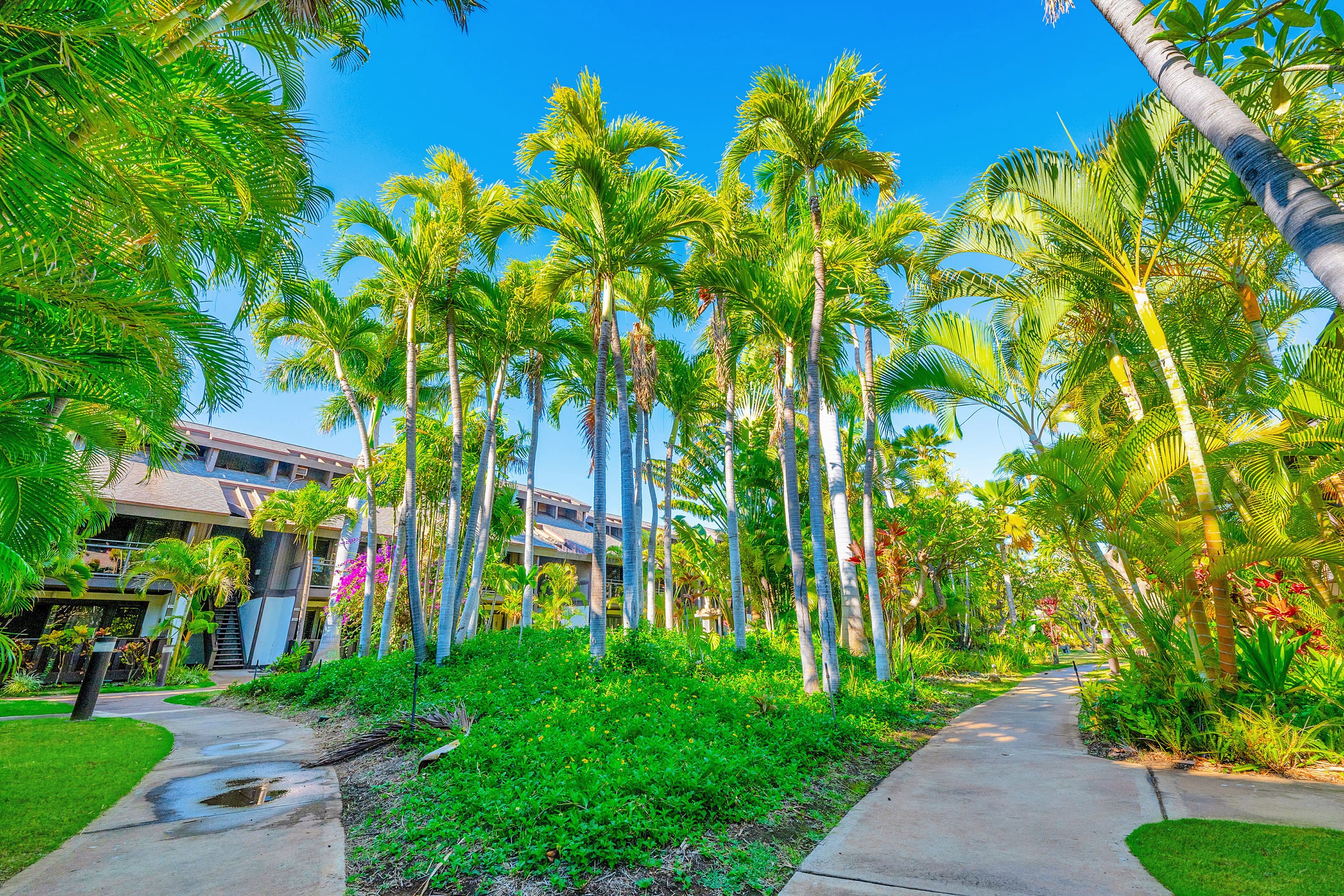 Tropical Zen Escape Modern 1BR Steps from Beach - Image 62