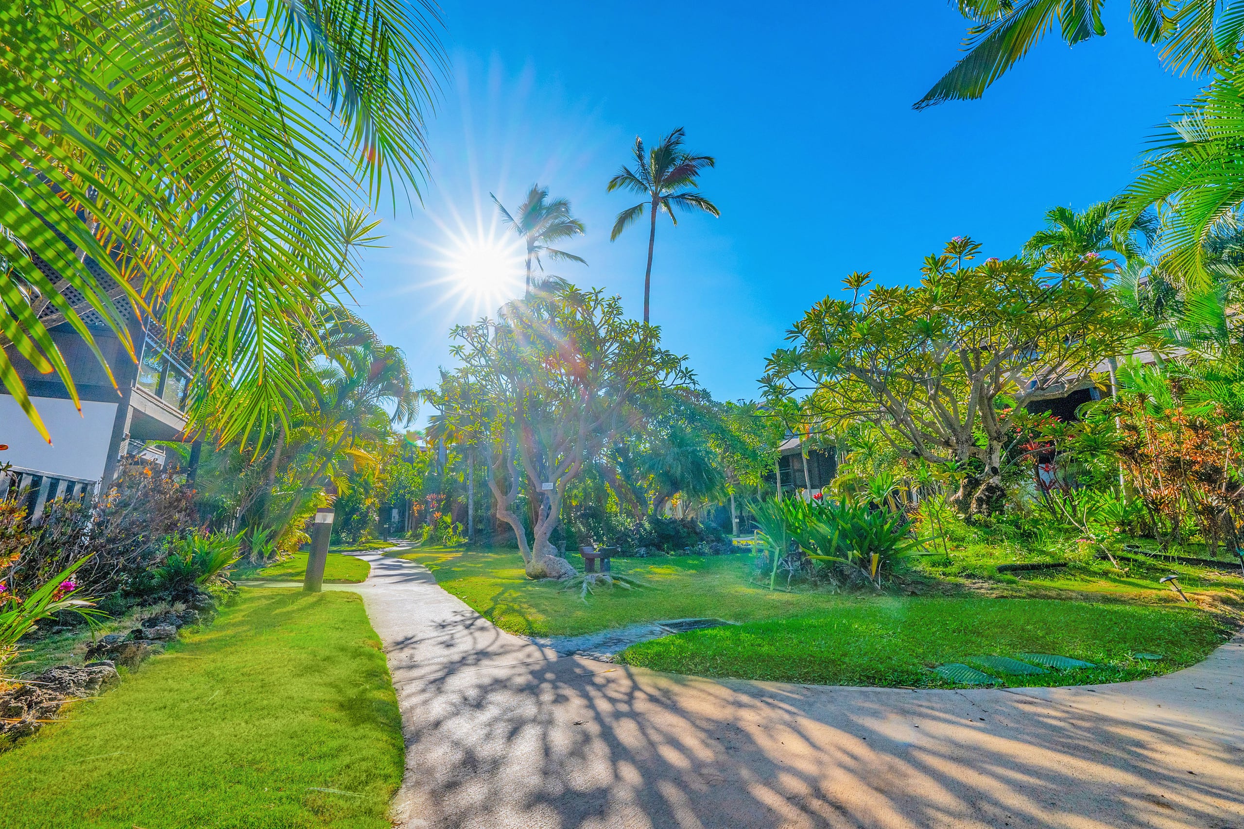 Tropical Zen Escape Modern 1BR Steps from Beach - Image 54