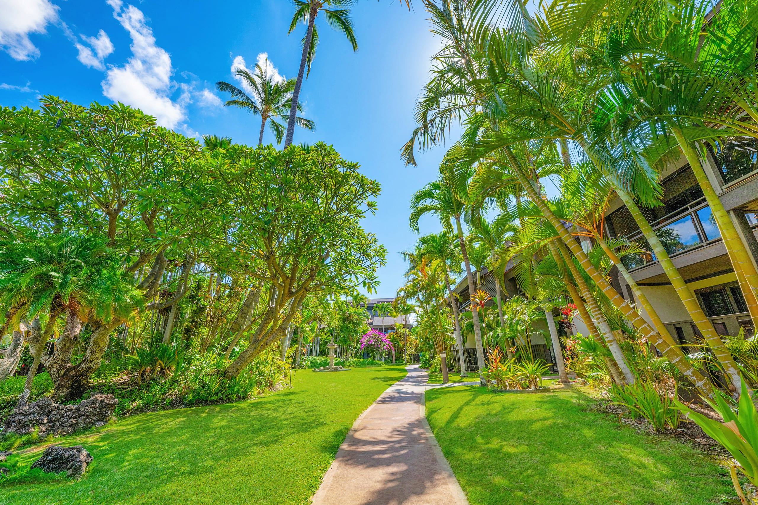 Tropical Zen Escape Modern 1BR Steps from Beach - Image 65