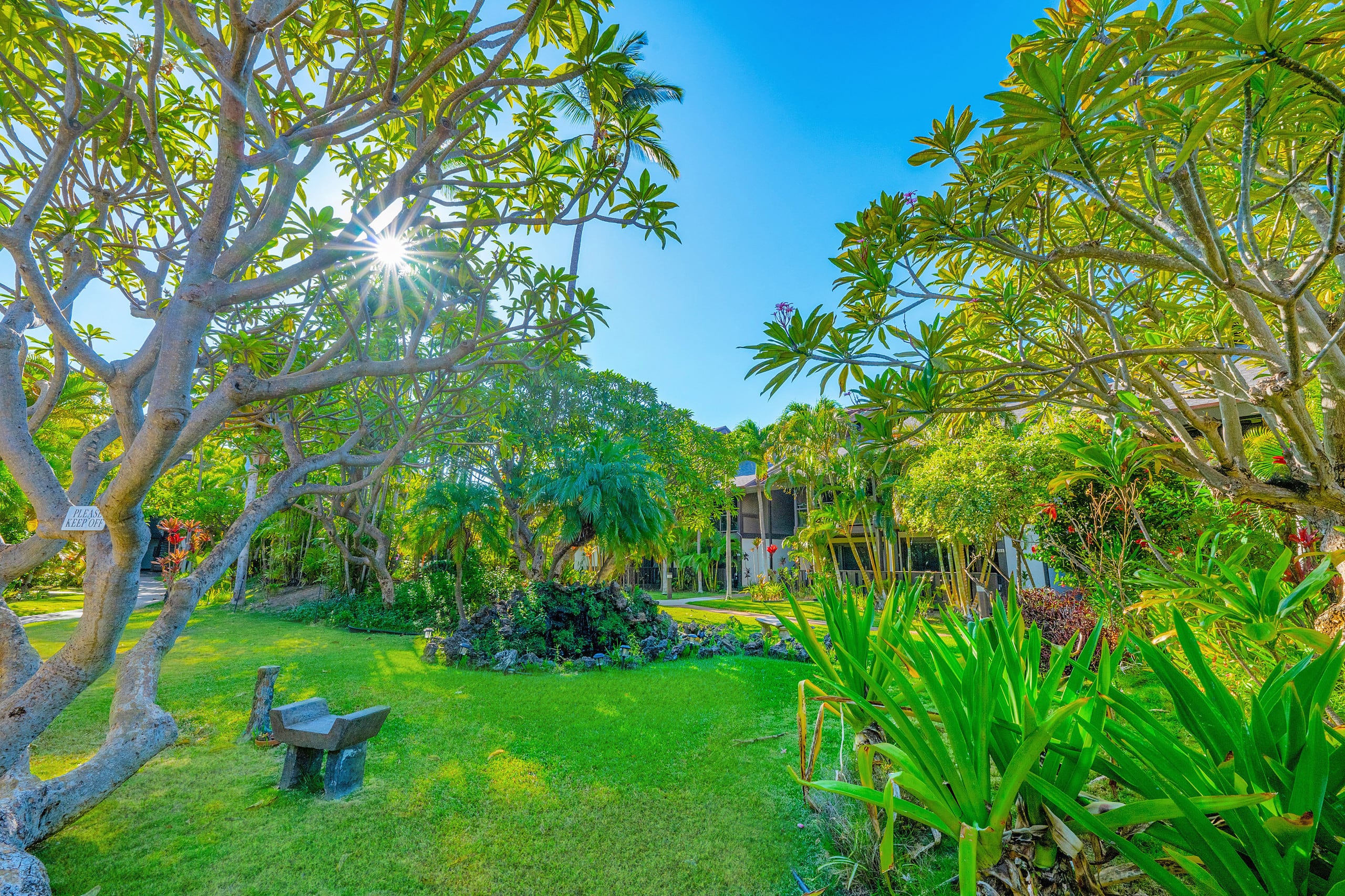 Tropical Zen Escape Modern 1BR Steps from Beach - Image 29