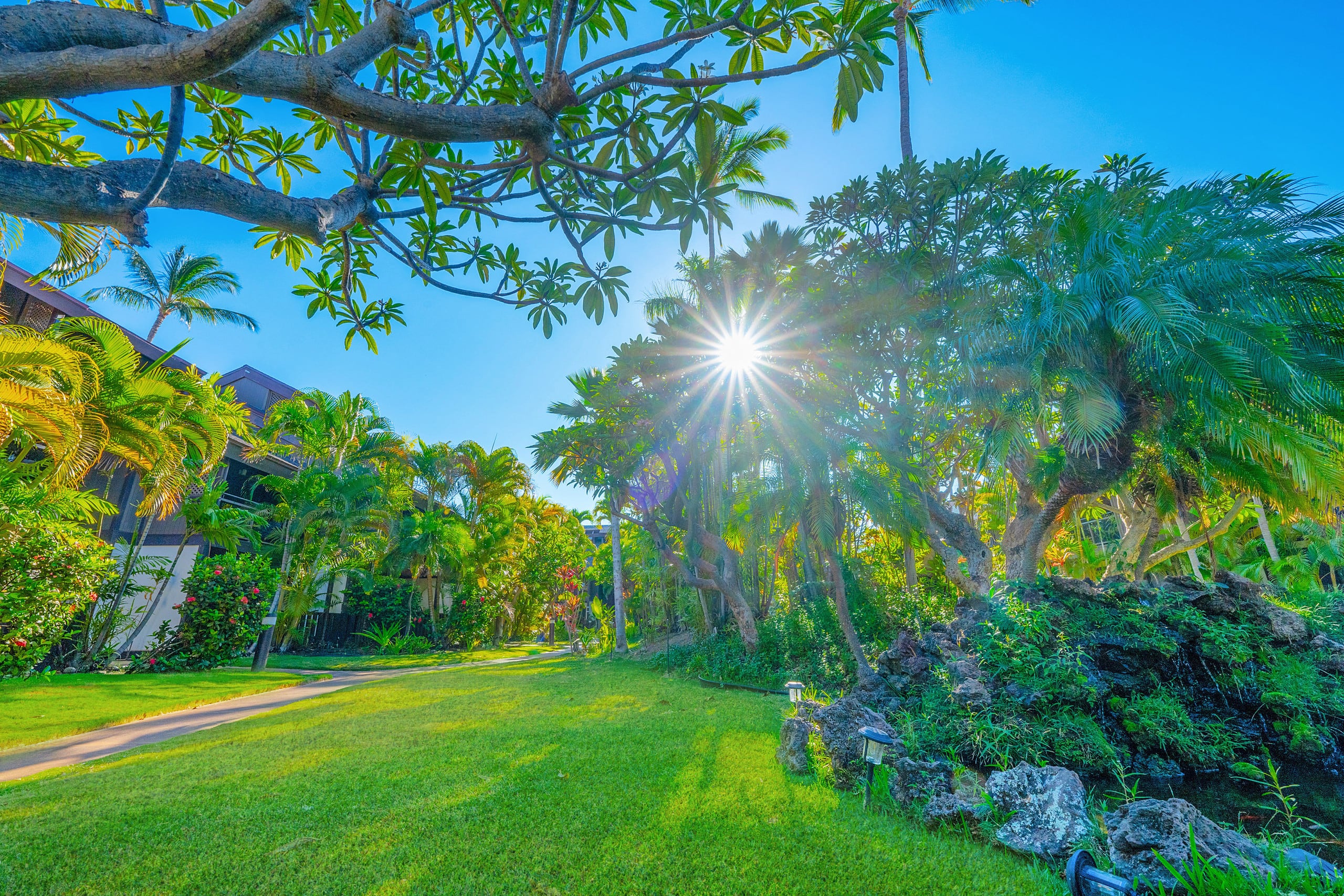Tropical Zen Escape Modern 1BR Steps from Beach - Image 56