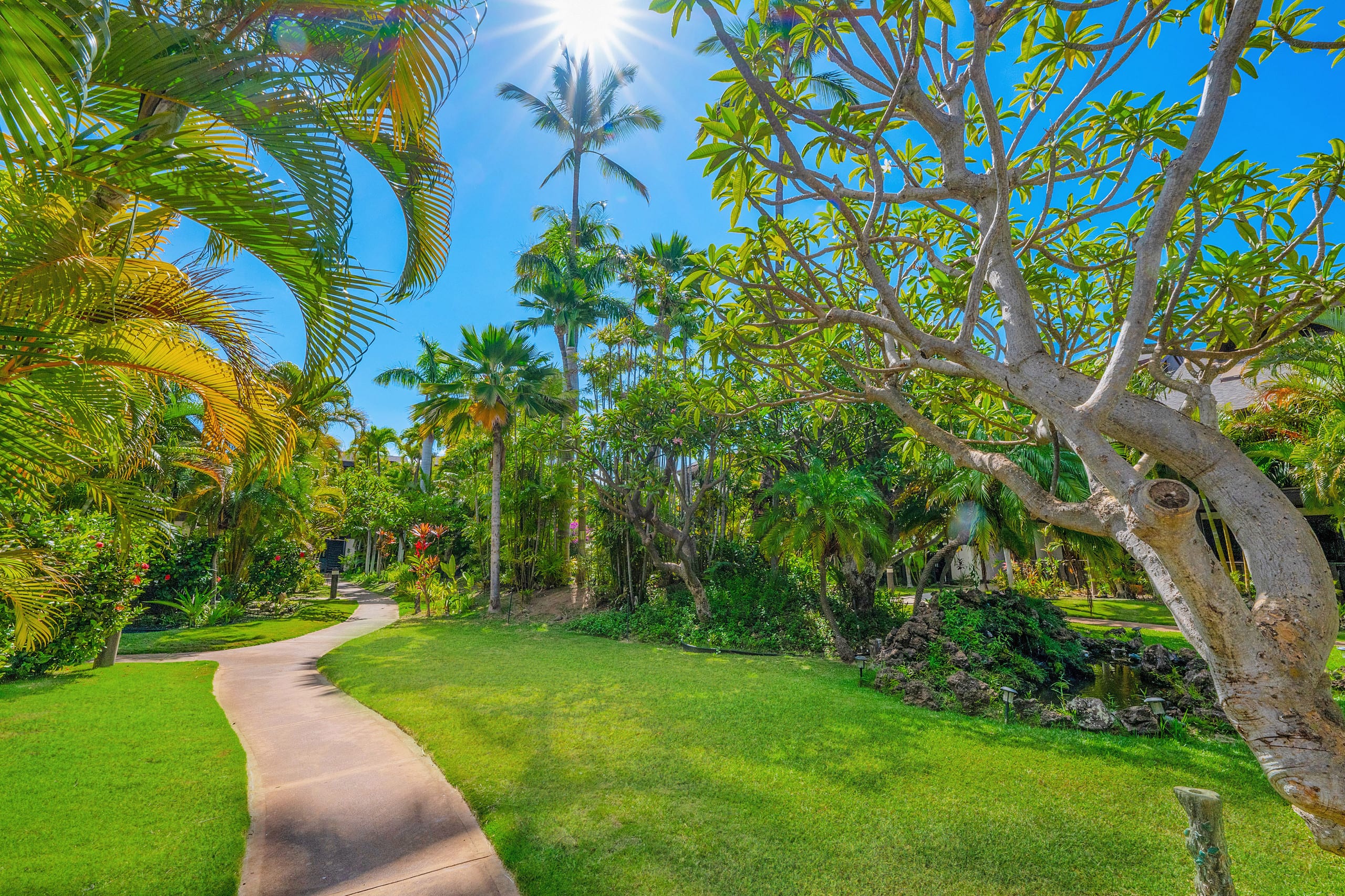 Tropical Zen Escape Modern 1BR Steps from Beach - Image 72