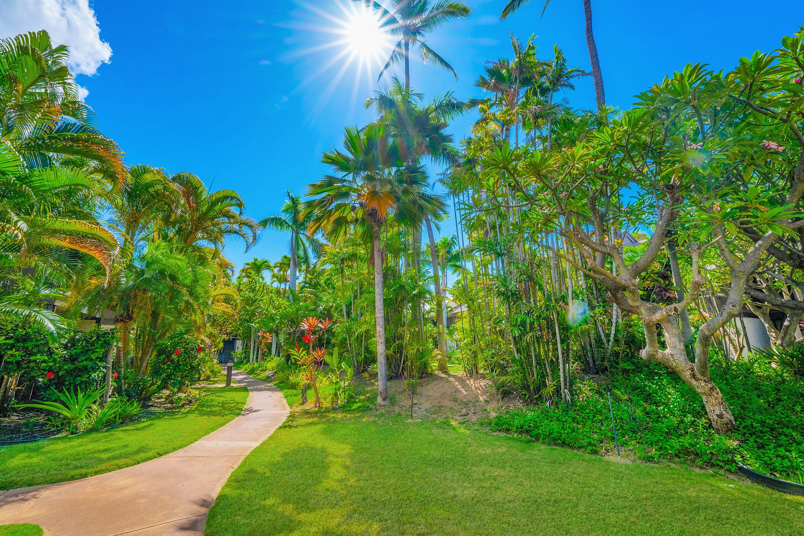 Tropical Zen Escape Modern 1BR Steps from Beach - Image 73