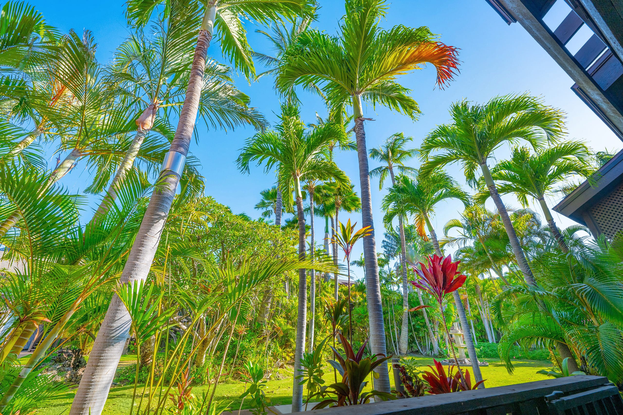 Tropical Zen Escape Modern 1BR Steps from Beach - Image 43