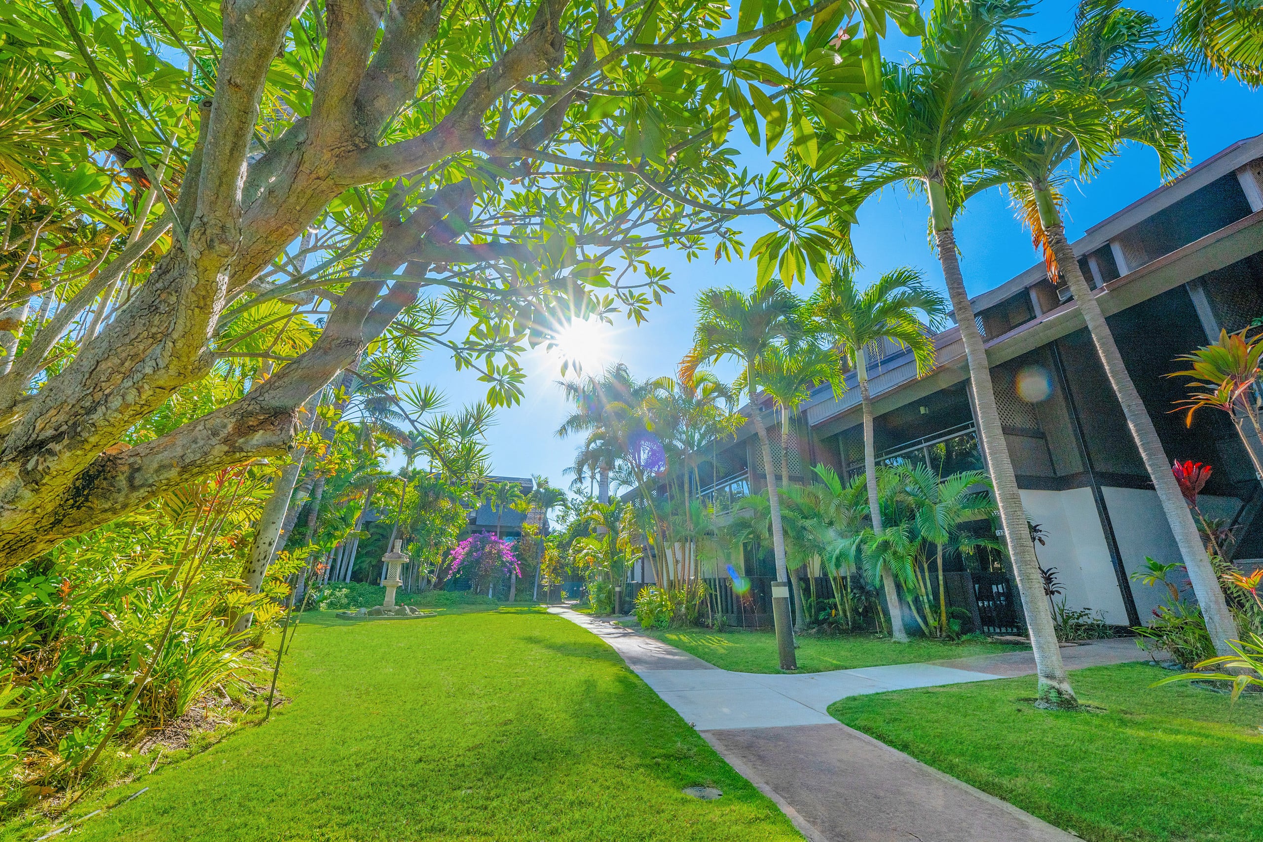 Tropical Zen Escape Modern 1BR Steps from Beach - Image 44