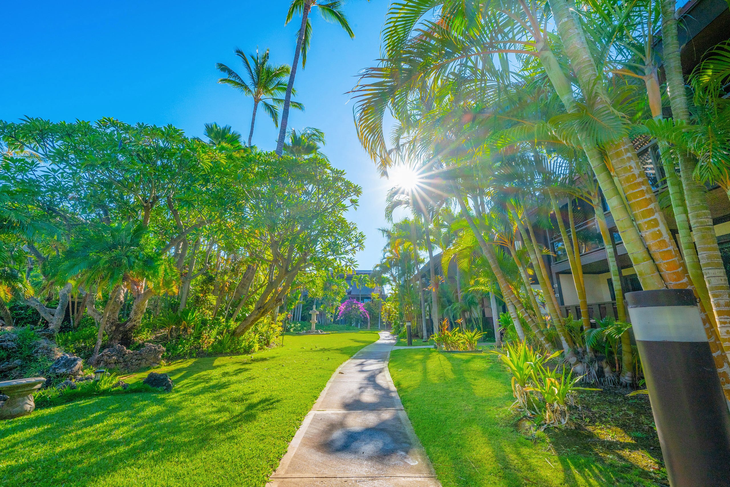 Tropical Zen Escape Modern 1BR Steps from Beach - Image 49
