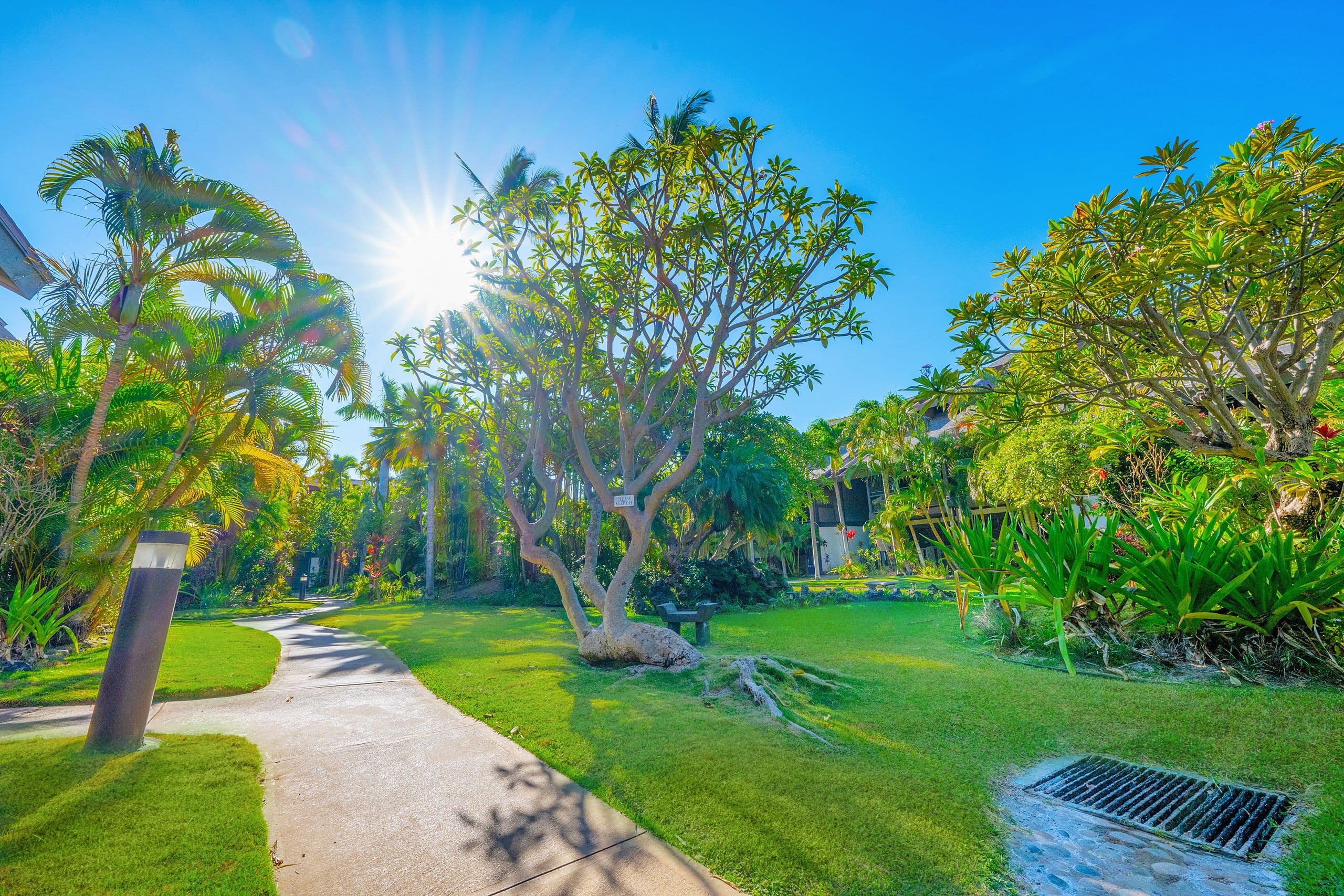 Tropical Zen Escape Modern 1BR Steps from Beach - Image 61