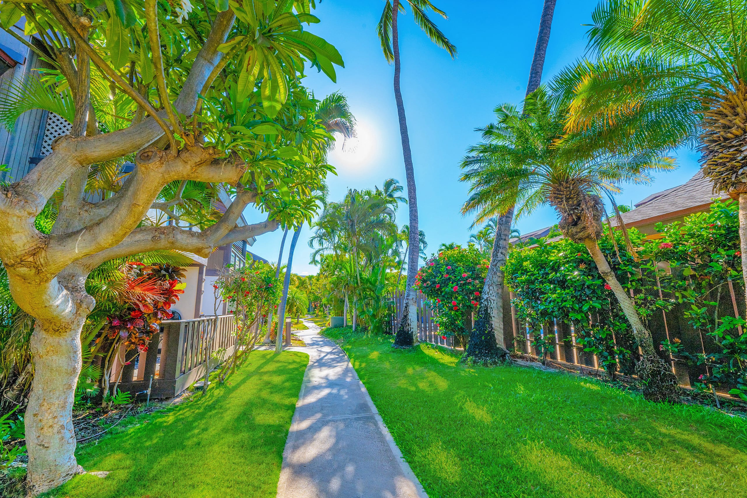 Tropical Zen Escape Modern 1BR Steps from Beach - Image 64