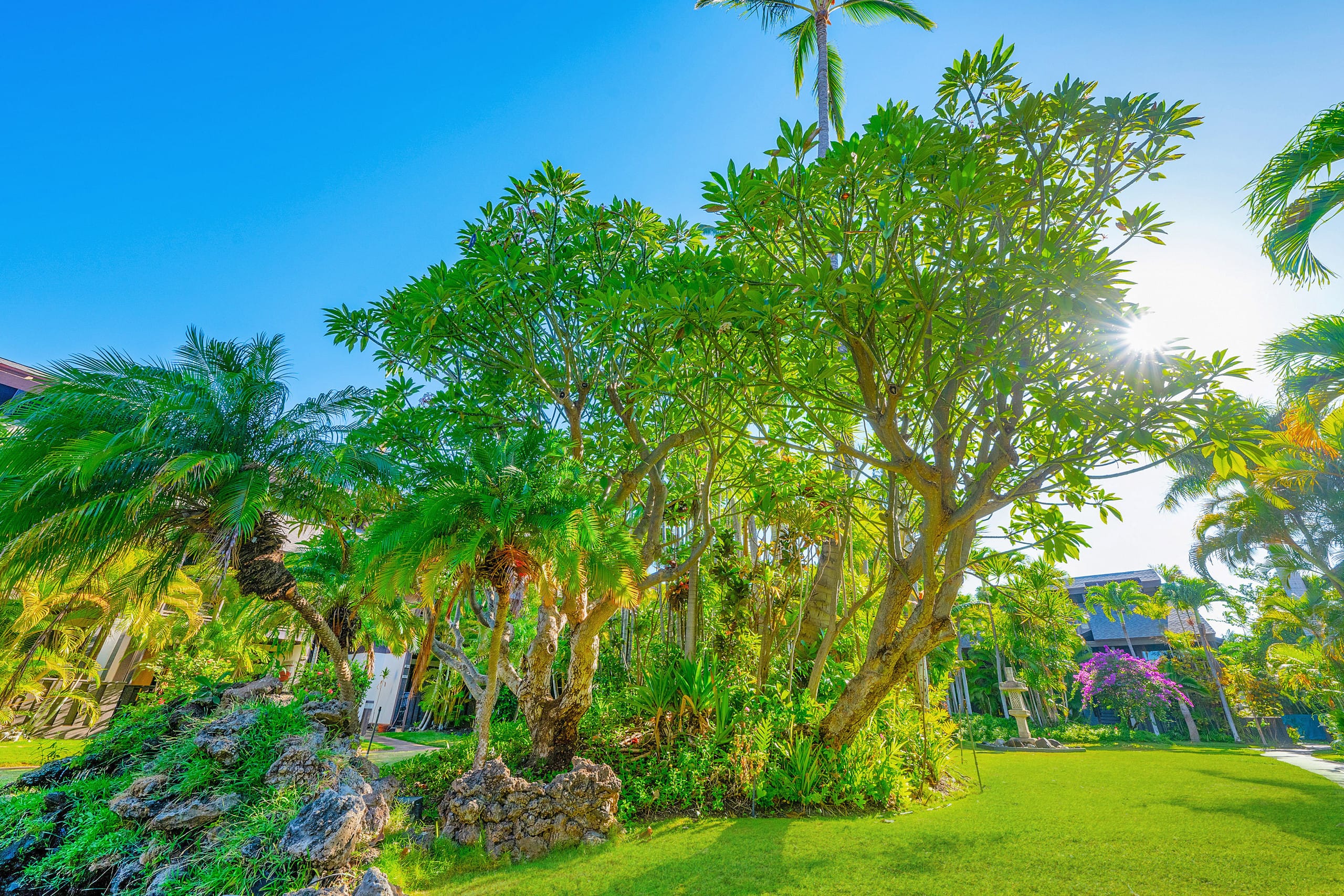 Tropical Zen Escape Modern 1BR Steps from Beach - Image 53