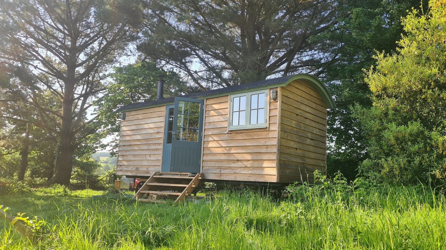 Shepherd's Hut exterior under pine trees