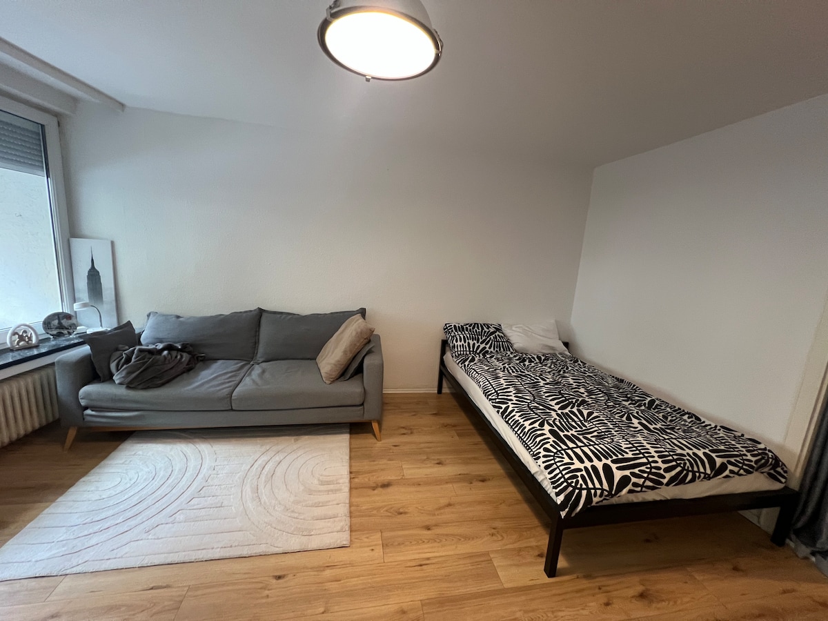 Cozy city apartment. Ideal for work and leisure.