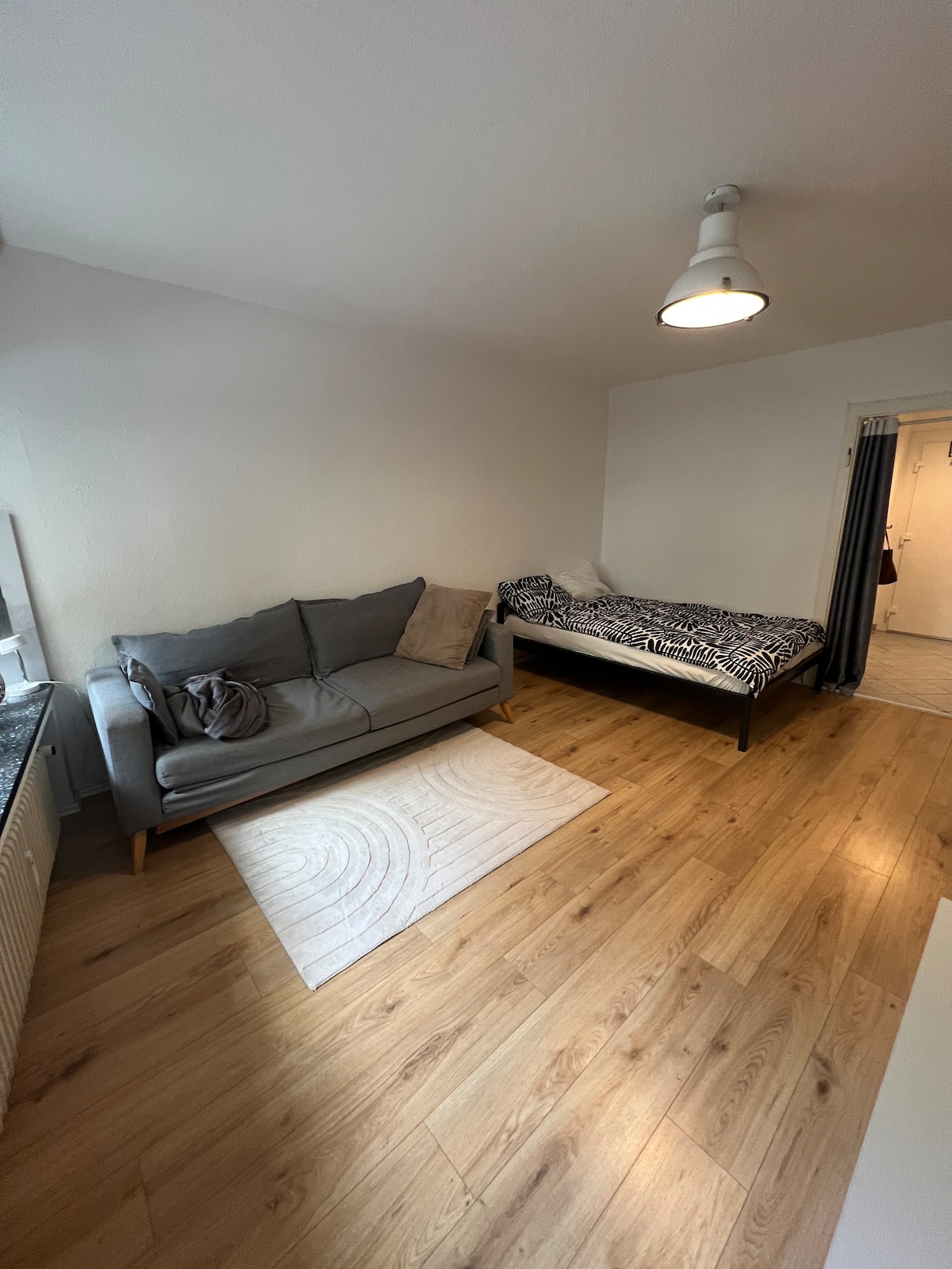 Cozy city apartment. Ideal for work and leisure.