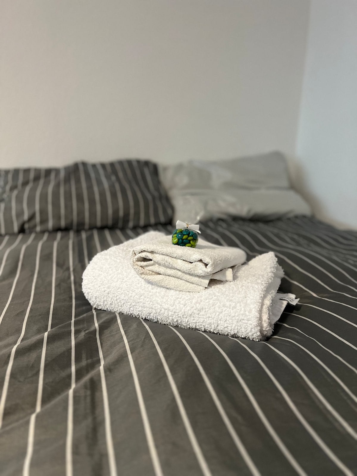 Cozy city apartment. Ideal for work and leisure.