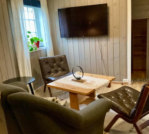Top performing Airbnb: Søndre Bæk in Trysil