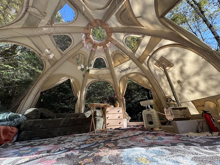 宽敞的泡泡帐篷内部配有舒适的座位、柔软的地毯和可折叠的沙发，非常适合休闲、睡觉和通过清晰的圆顶窗户观星