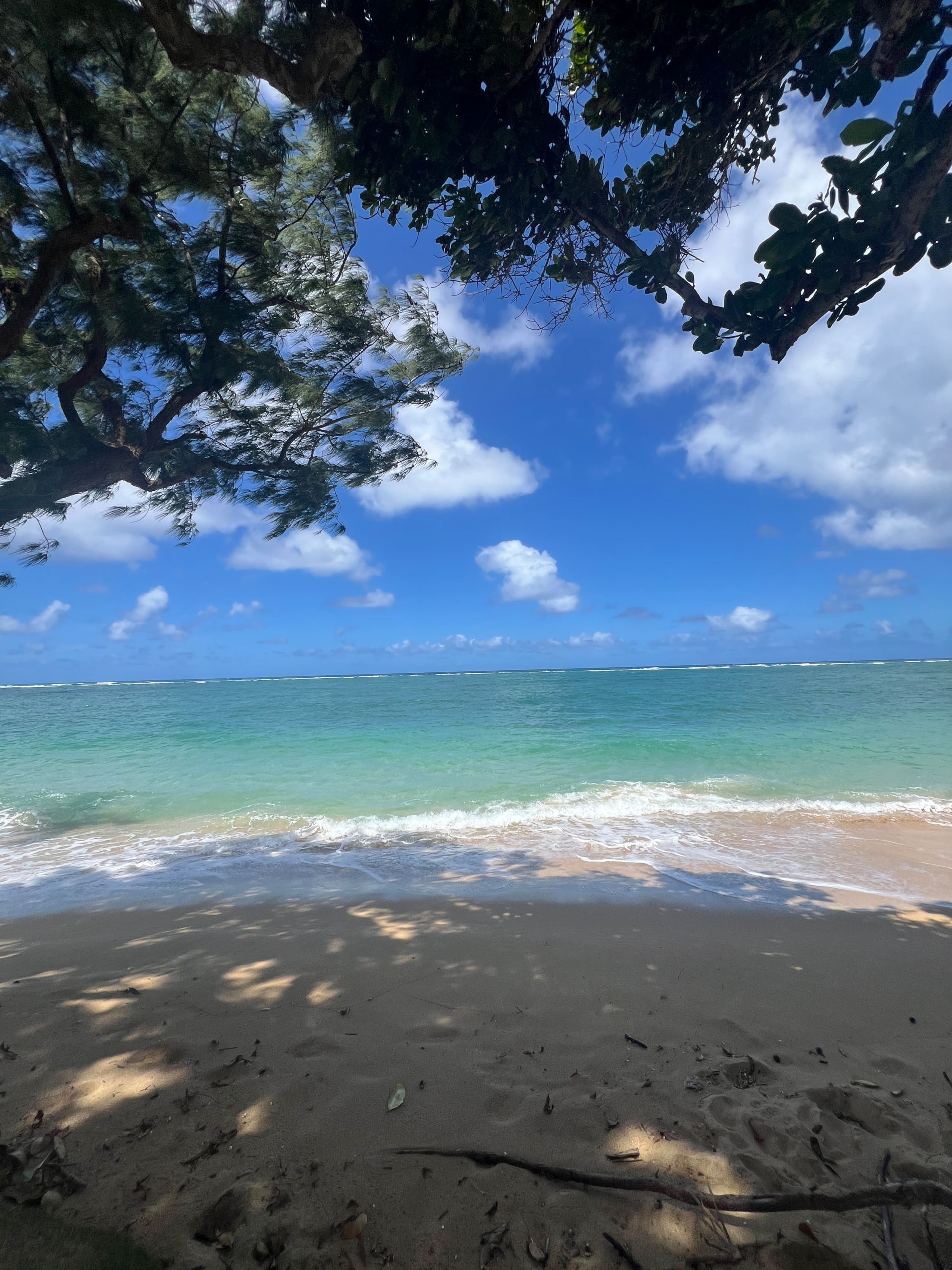 North Shore Beachfront Studio - Image 10