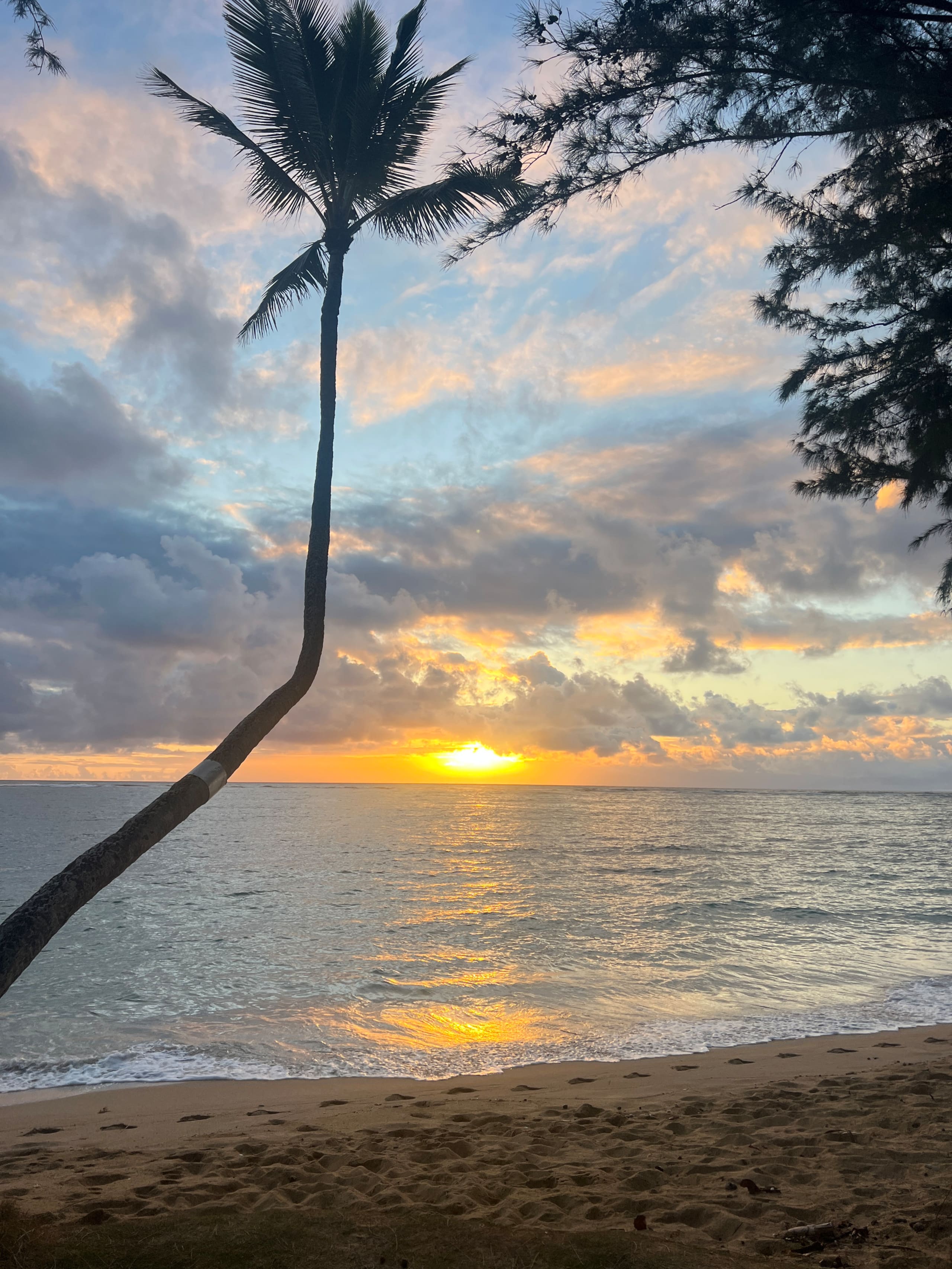 North Shore Beachfront Studio - Image 11