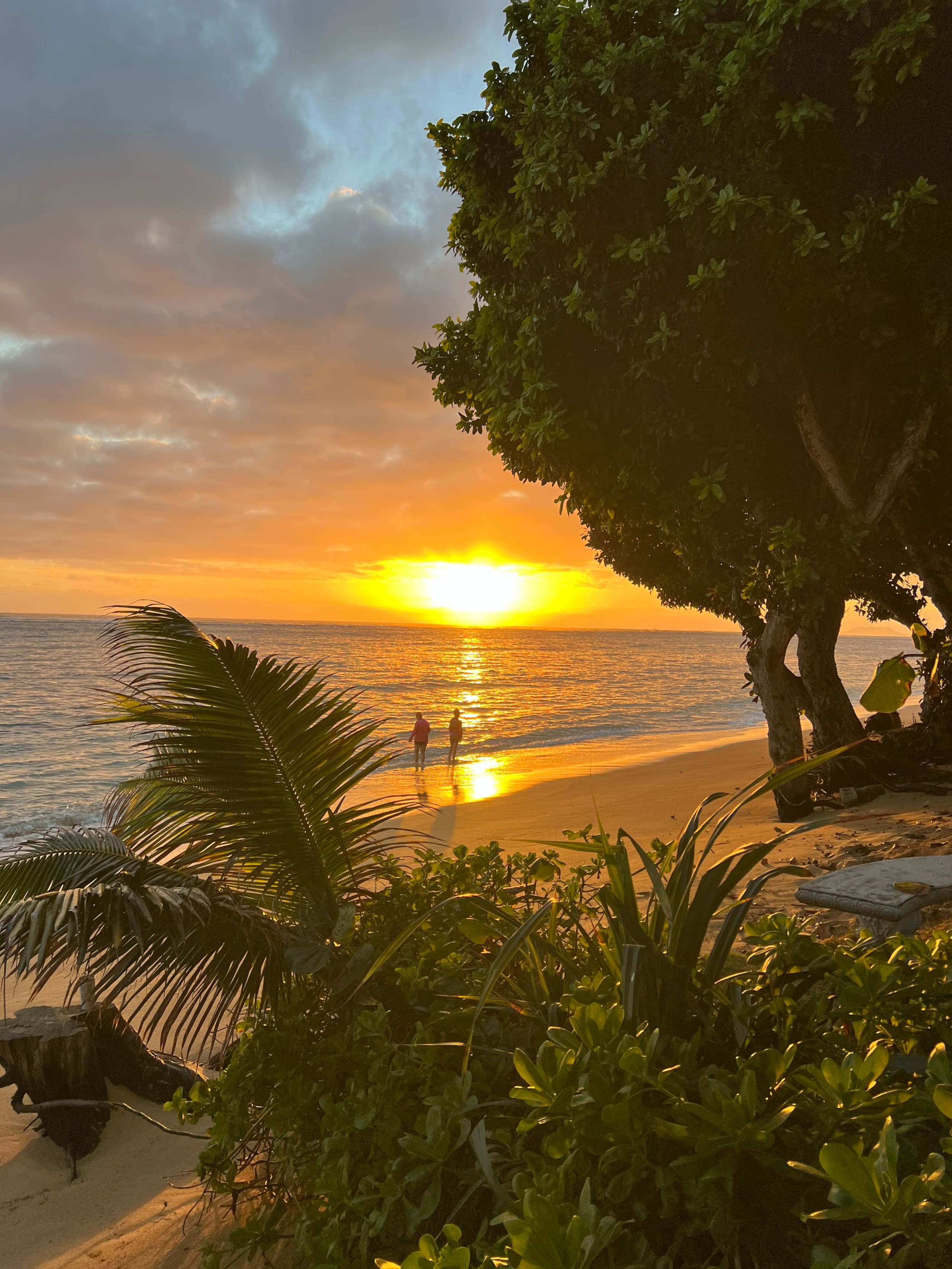 North Shore Beachfront Studio - Image 16