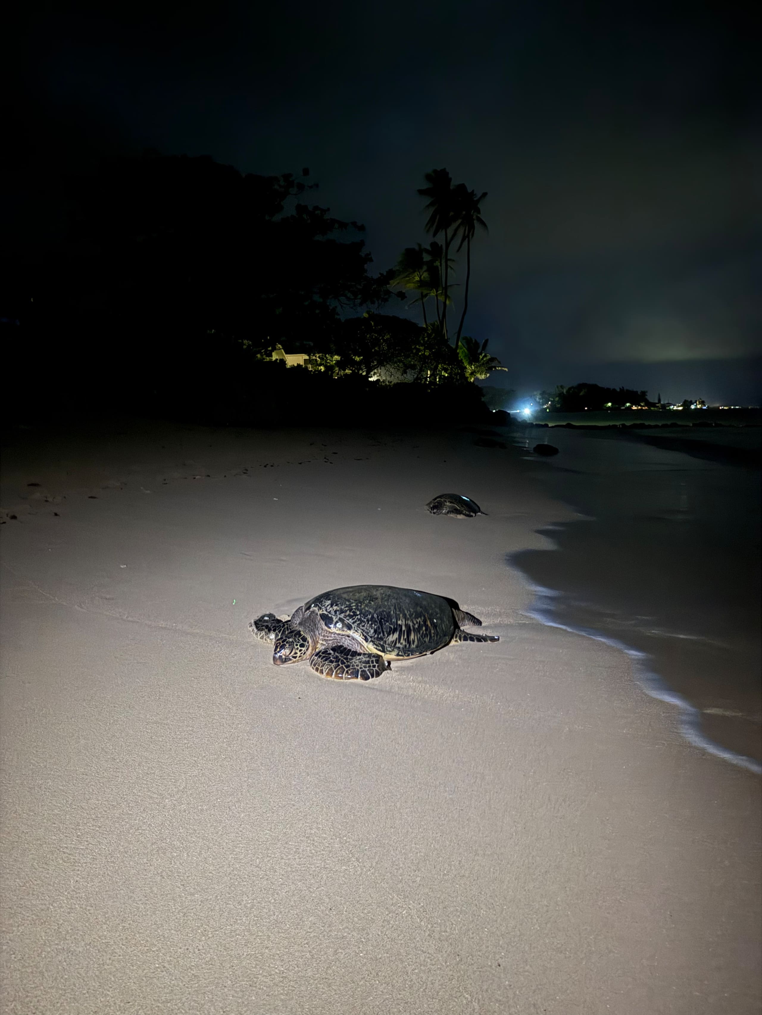 North Shore Beachfront Studio - Image 13