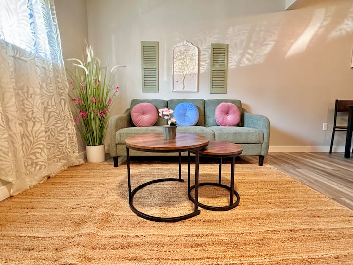 Walk To Fifa Games Apt./free Parking/wifi - Arlington, TX