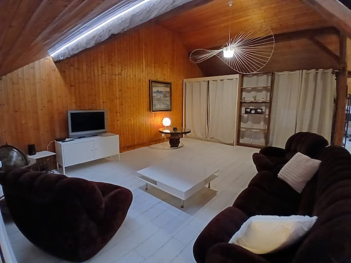 Loft Paisible - Annemasse